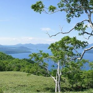 Meet your Posher, Tiger